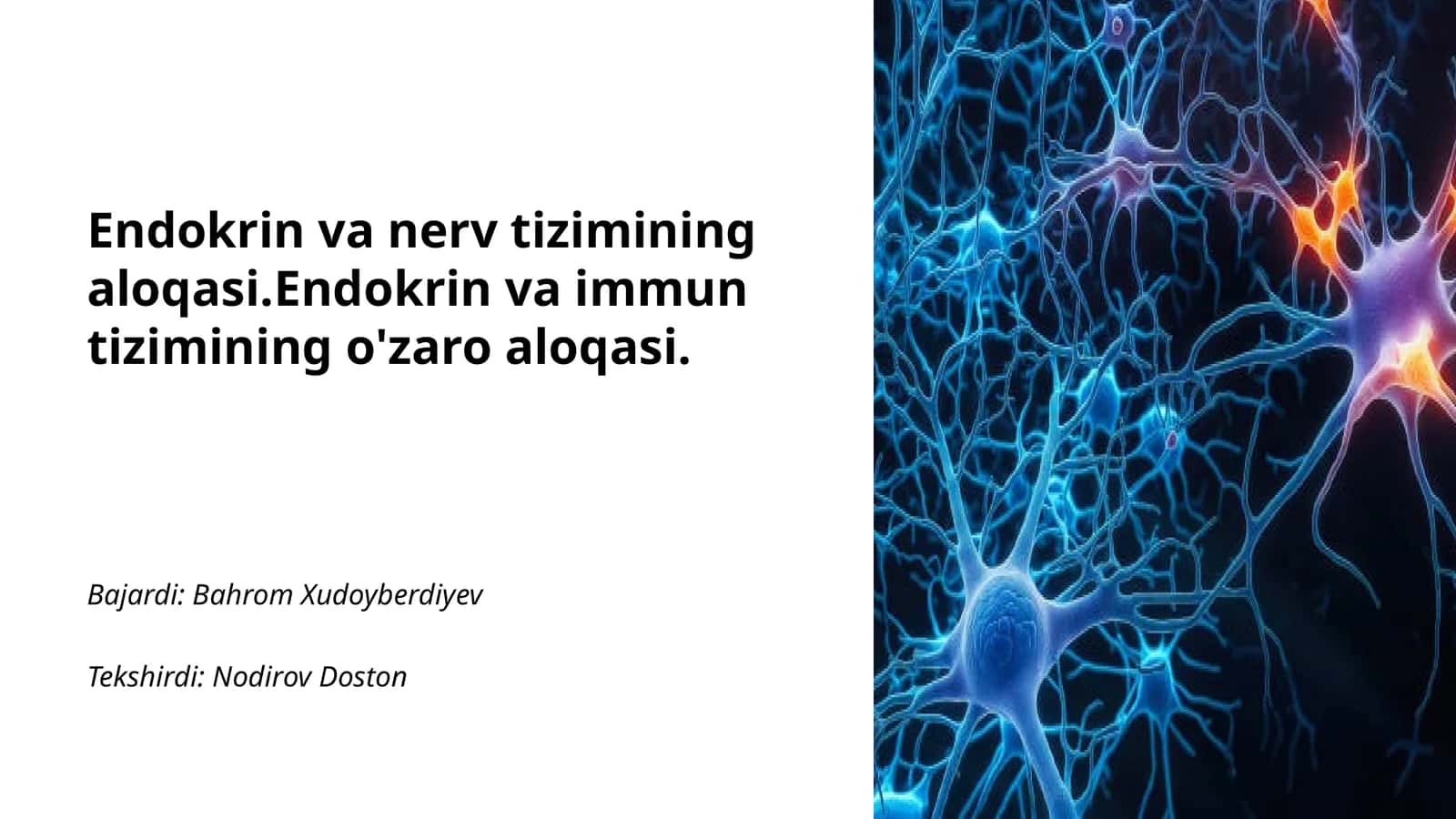 Endokrin va nerv tizimining aloqasi
