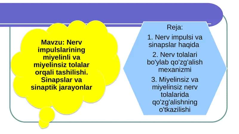 Sinaps sinaptik uchlar