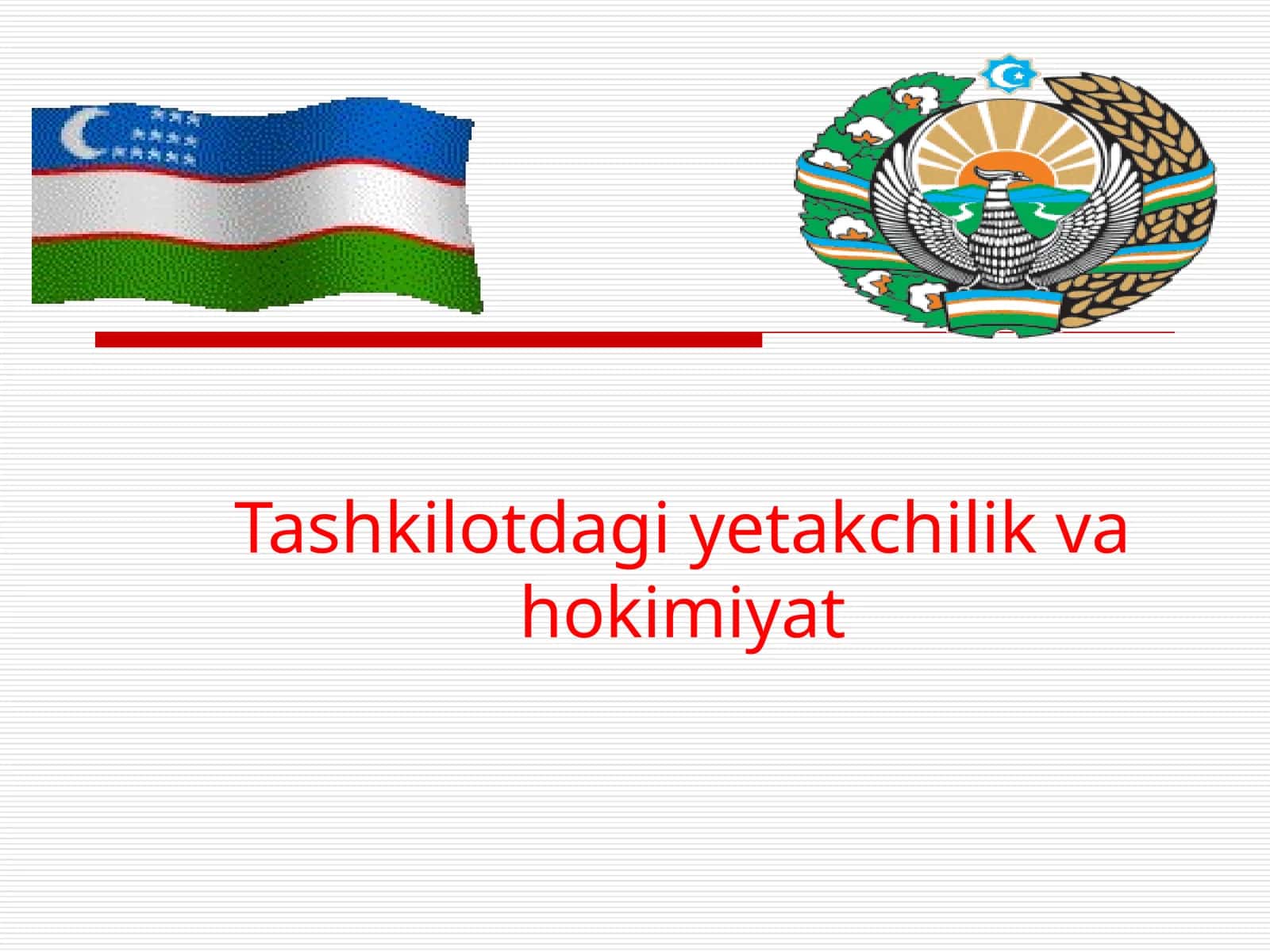 Tashkilotdagi yetakchilik va hokimiyat