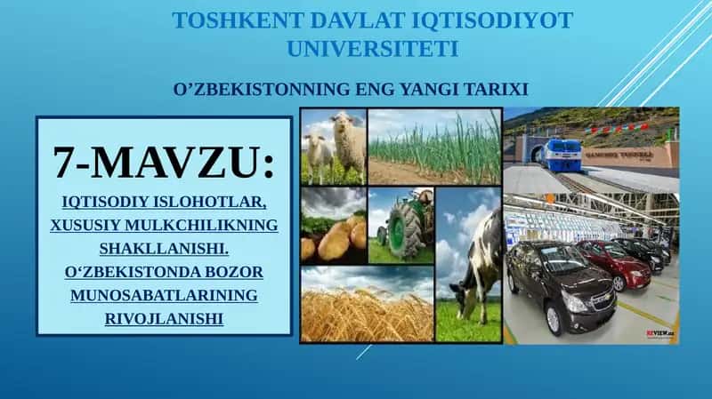 IQTISODIY ISLOHOTLAR, XUSUSIY MULKCHILIKNING SHAKLLANISHI