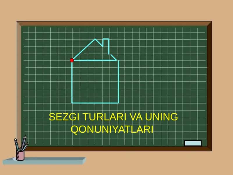 Sezgi Turlari va uning Qonuniyatları