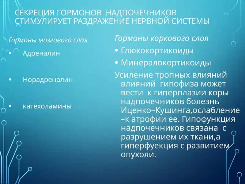 Патологическая анатомия Эндокринопатии