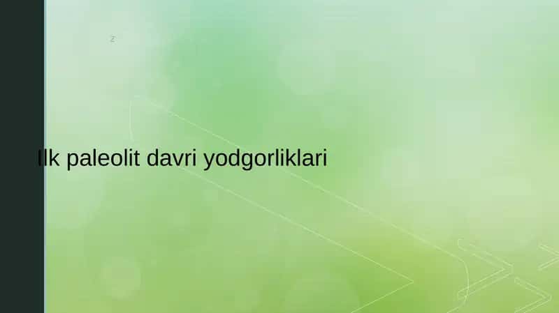 Ilk paleolit davri yodgorliklari