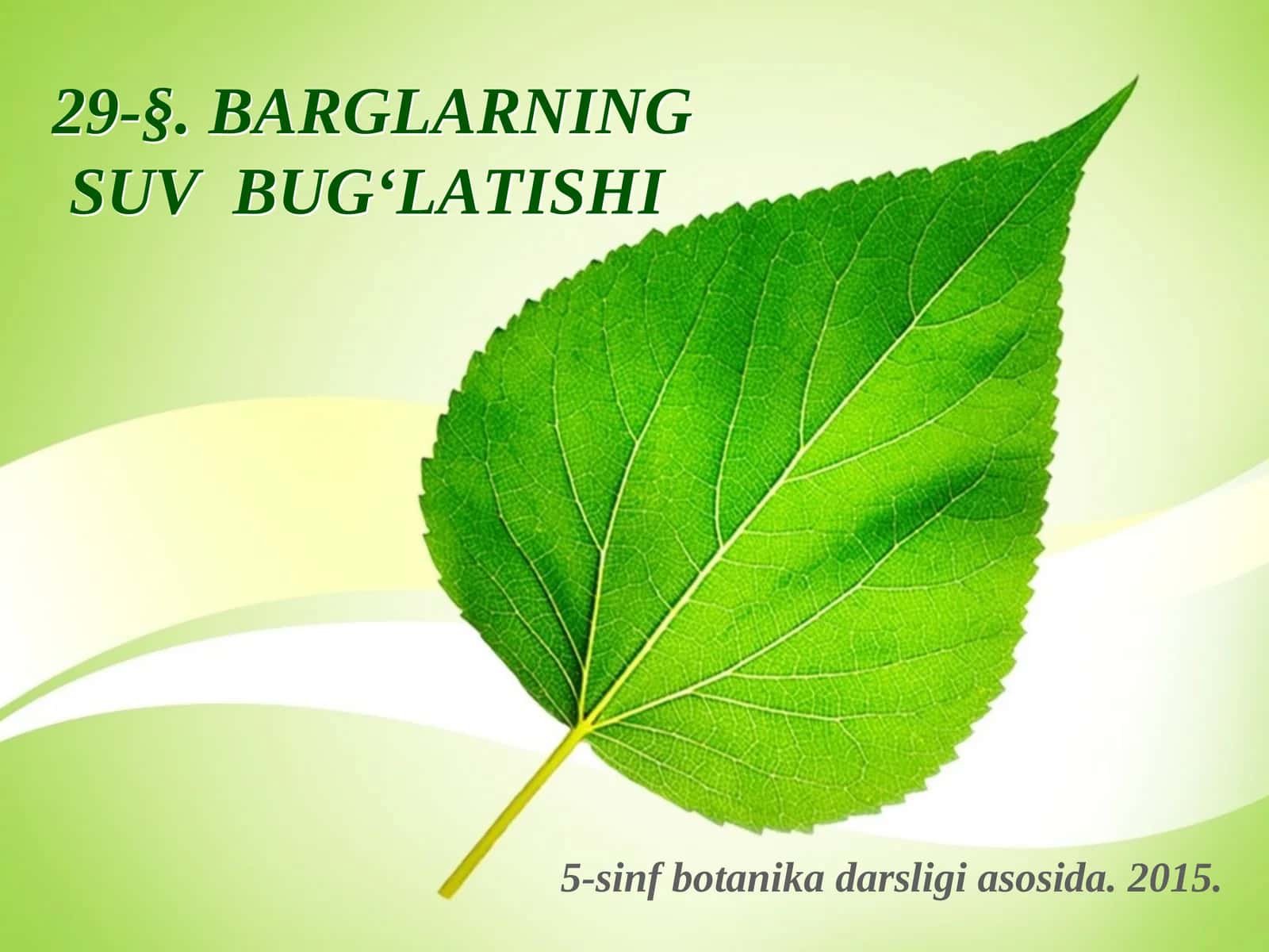 5-sinf Botanika Barglarning suv bug'latishi