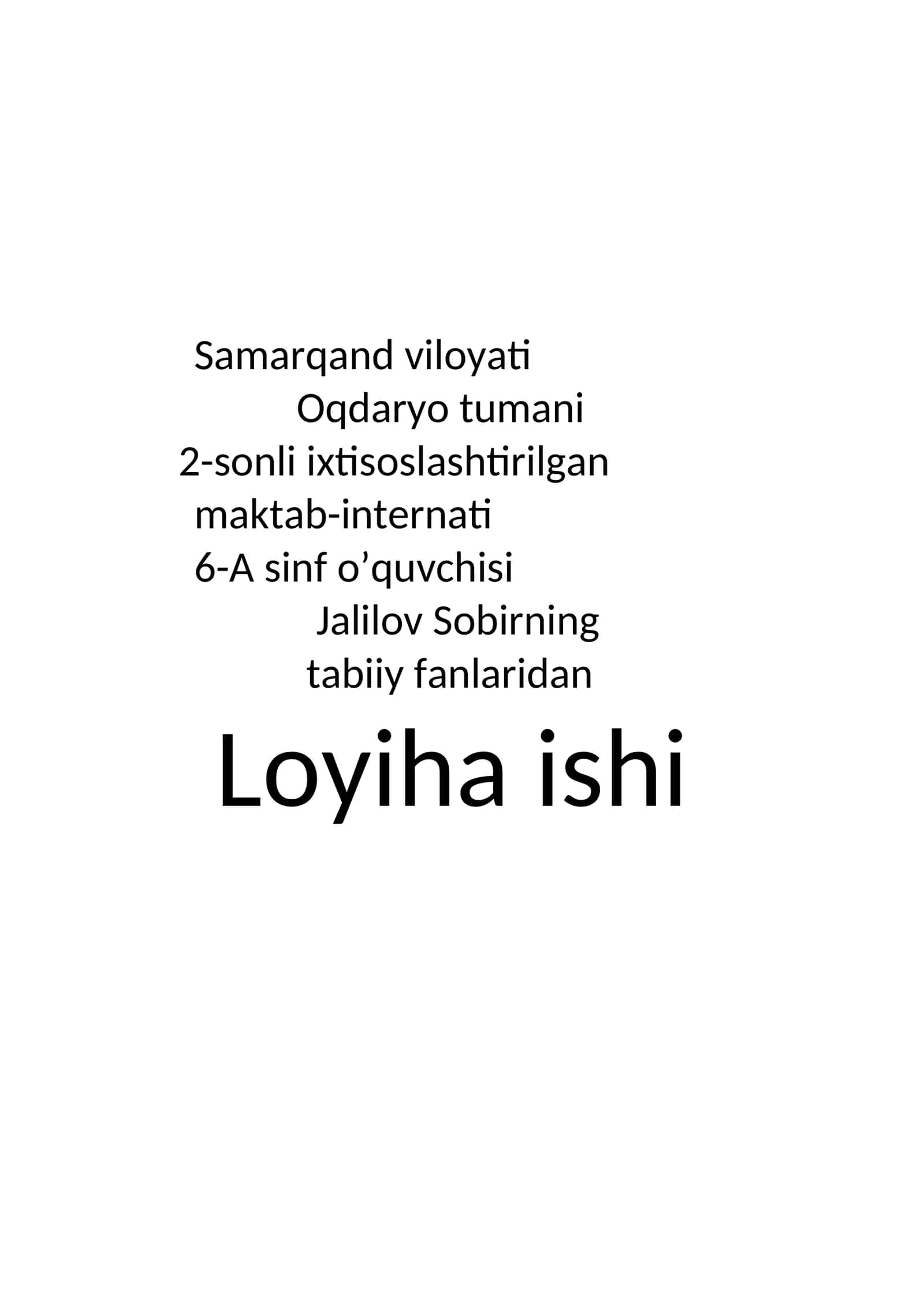 Loyiha ishi