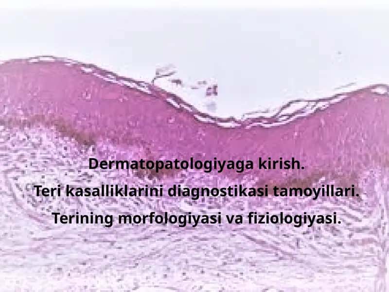 Dermatopatologiyagakirish