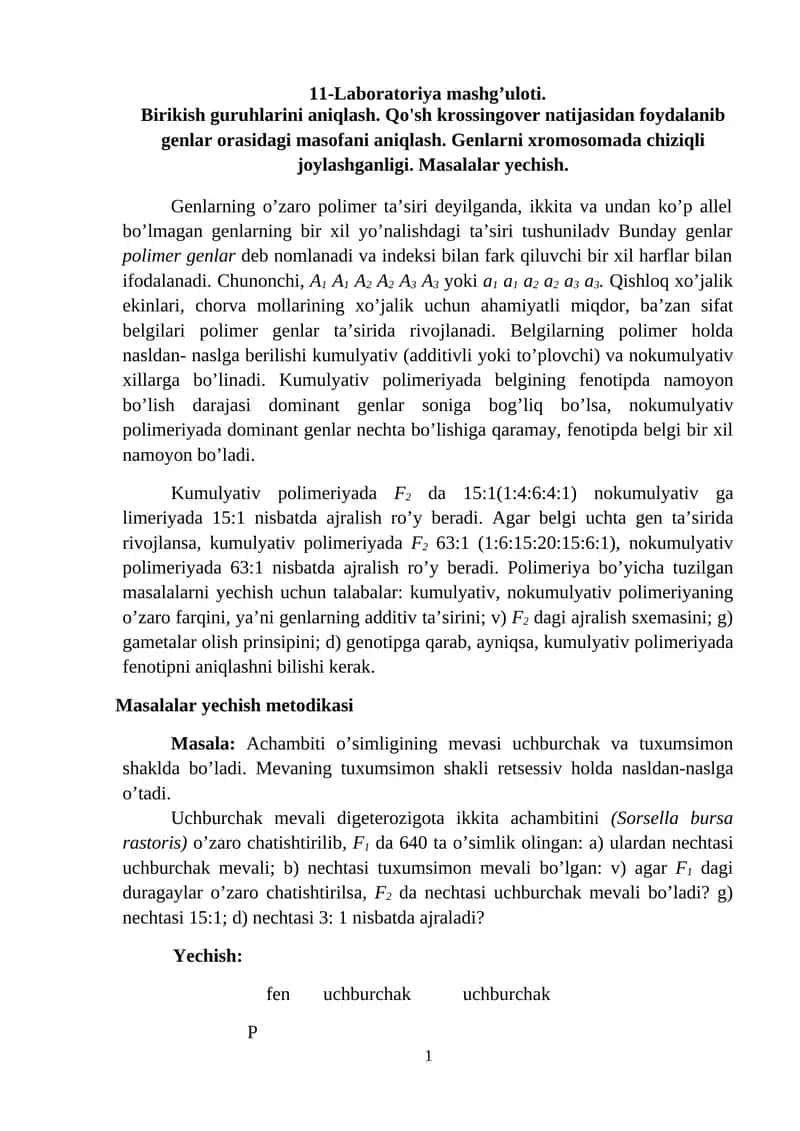 Laboratoriya mashg’uloti