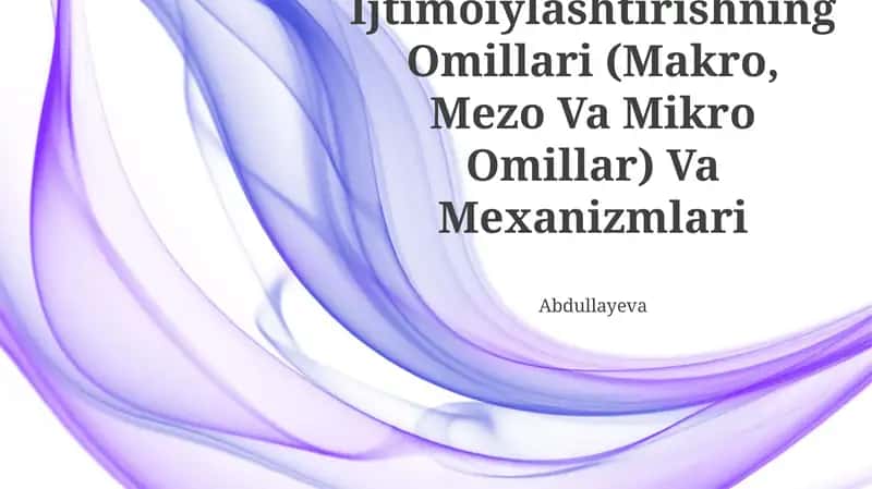 Ijtimoiylashtirishning Omillari (Makro, Mezo Va Mikro Omillar) Va Mexanizmlari