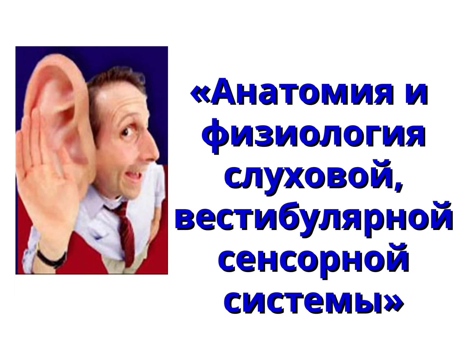 Анатомия и физиология слуховой, вестибулярной сенсорной системы