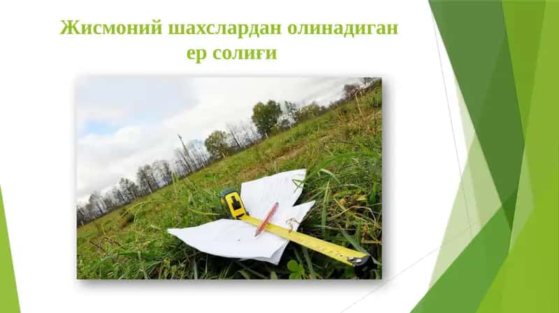Жисмоний шахслардан олинадиган ер солиғи
