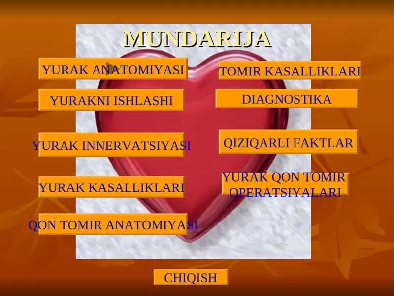 yurak anatomiyasi