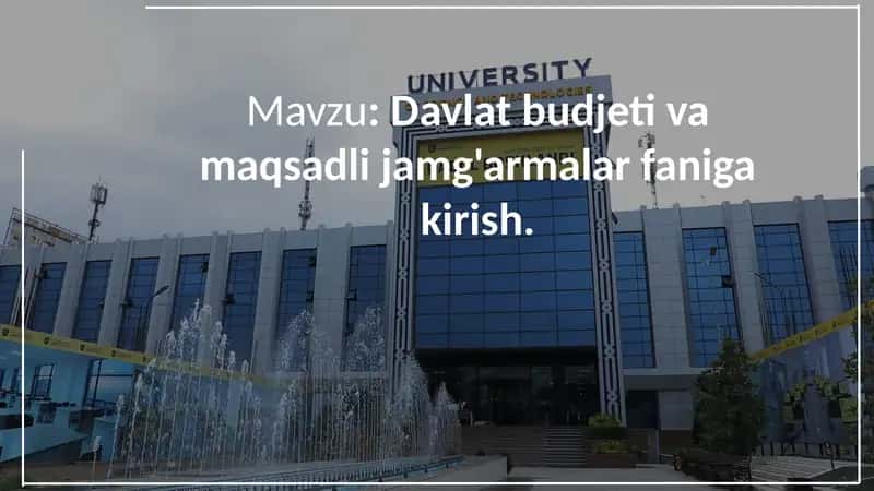 Davlat budjeti va maqsadli jamg'armalar
