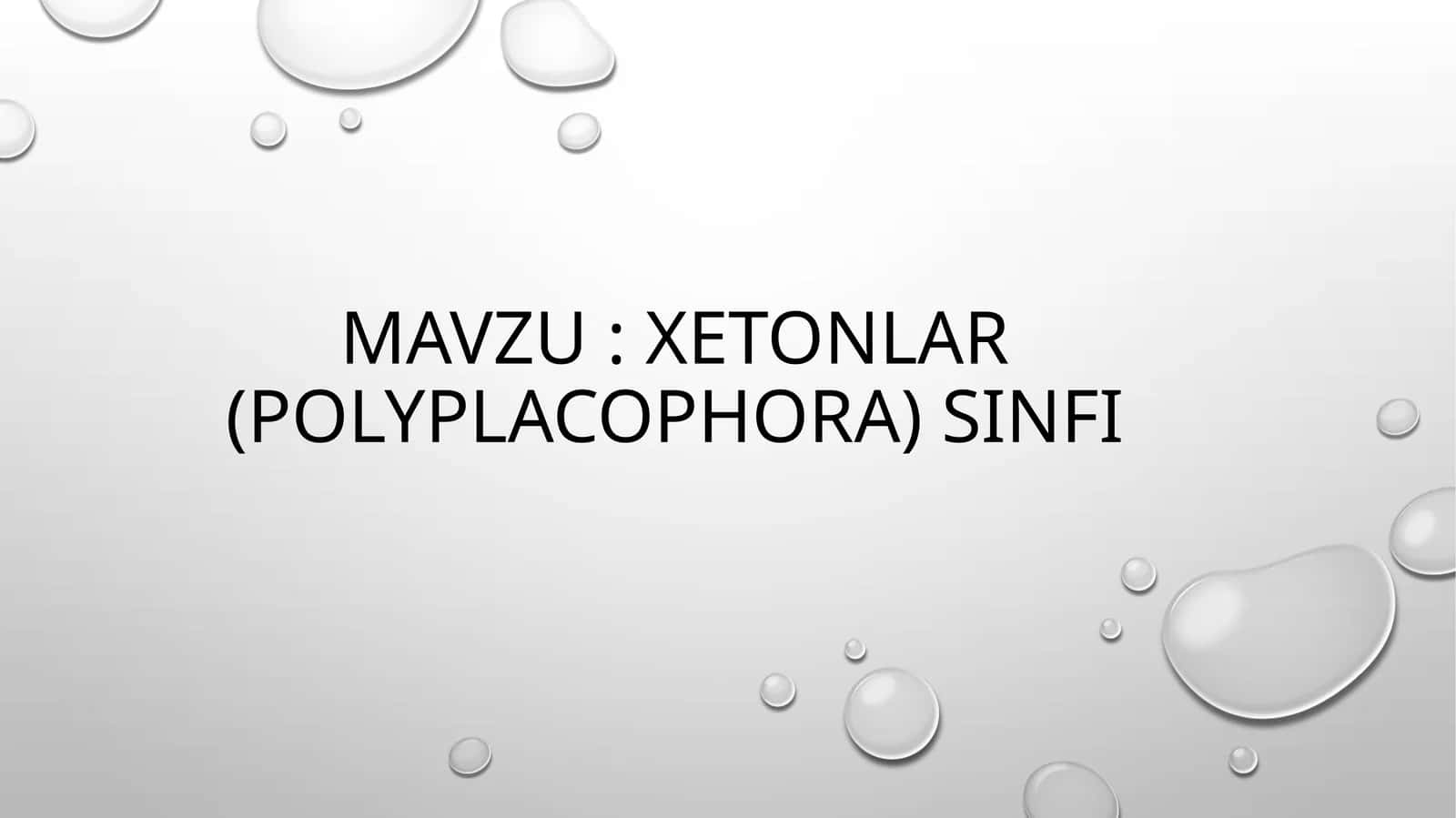 xetonlar (POLYPLACOPHORA) SINFI