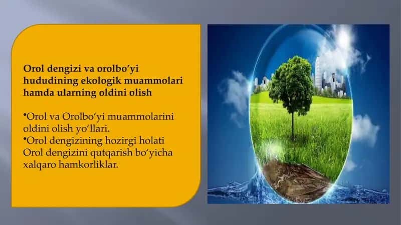 Orol dengizi va orolbo’yi hududining ekologik muammolari hamda ularning oldini olish