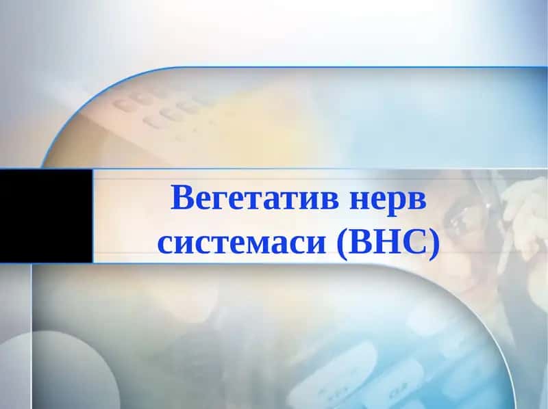 Вегетативнервсистемаси(ВНС)