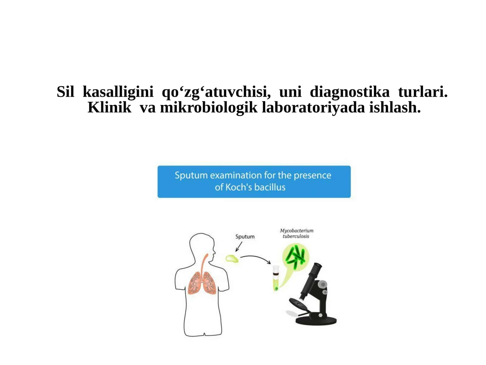 Silmikobakteriyasi