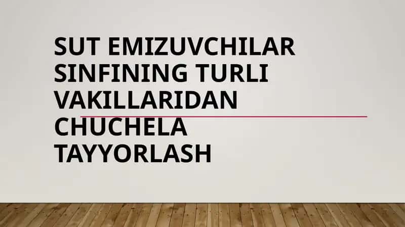Sut emizuvchilar sinfining turli vakillaridan chuchela tayyorlash