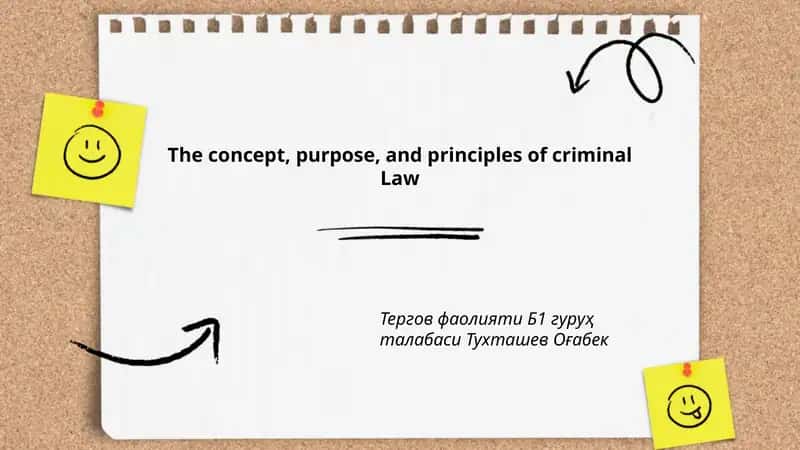 The concept, purpose, and principles of criminal Law