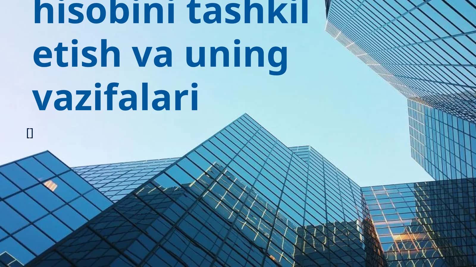 Xususiy kapital hisobini tashkil etish va uning vazifalari
