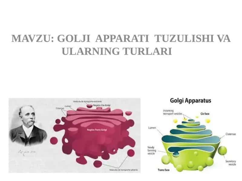 Golji Apparati Tuzulishi va Ularning Turlari