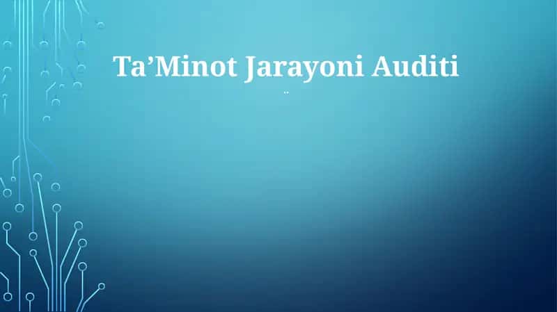 TaʼMinot Jarayoni Auditi
