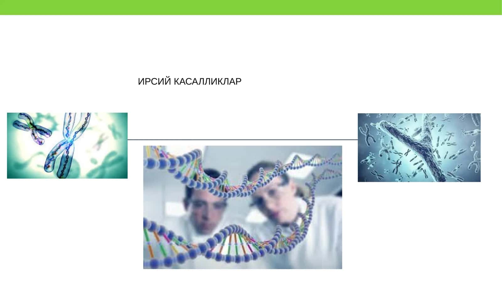 Ирсий касалликлар