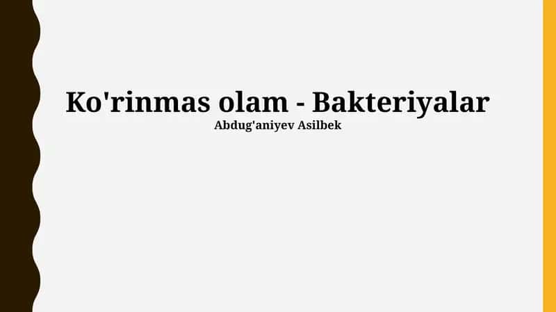 Ko'rinmas olam - Bakteriyalar