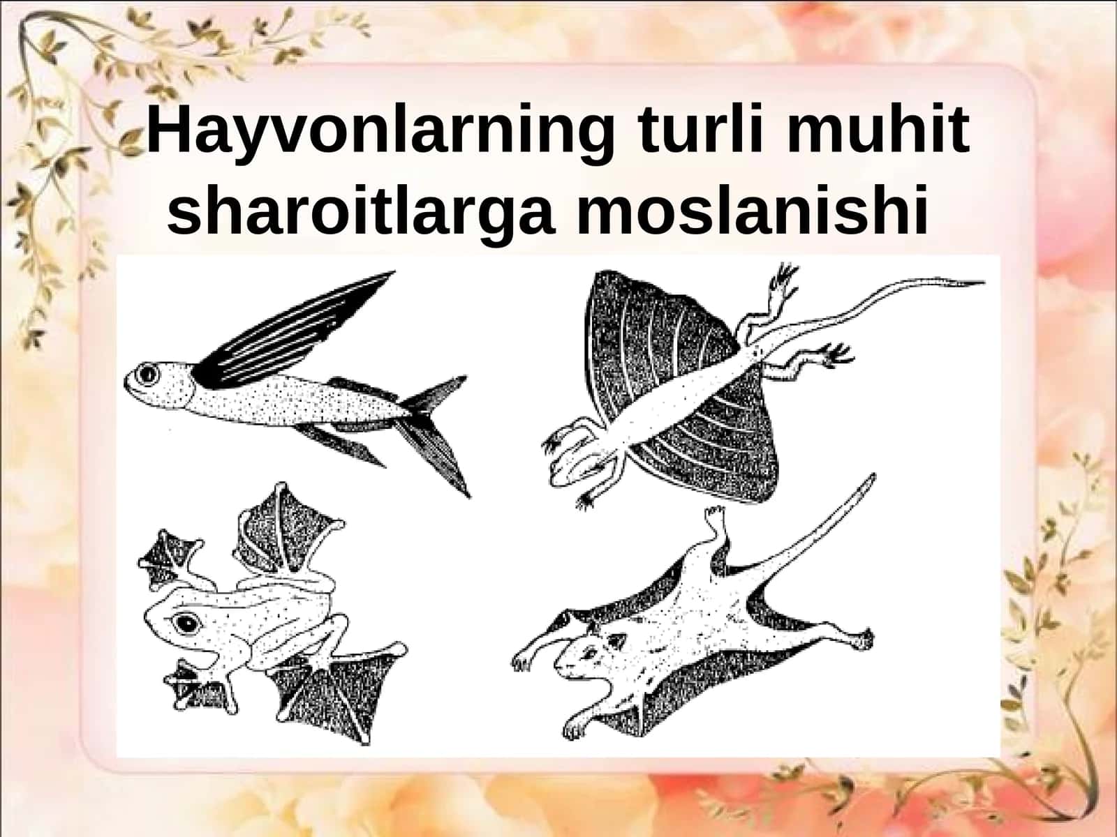 Hayvonlarning turli muhit sharoitlarga moslanishi
