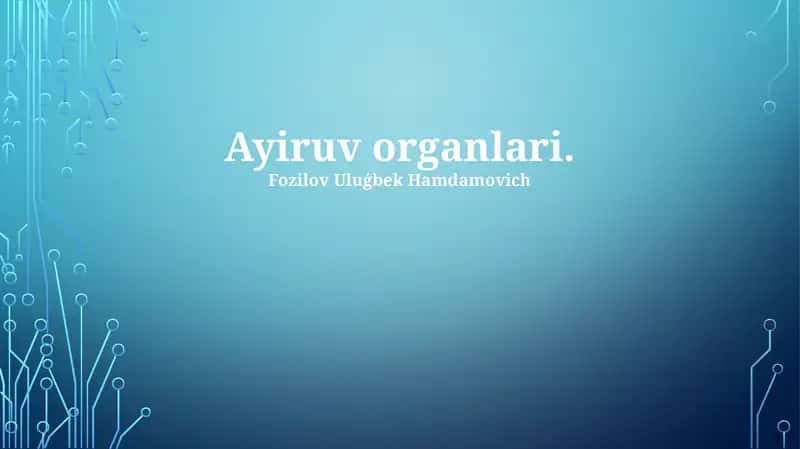 Ayiruv organlari