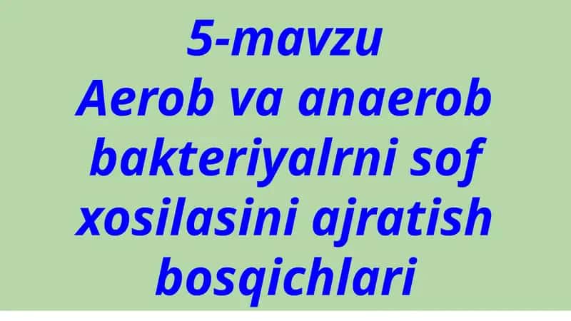 Микроорганизмлар соф култураси