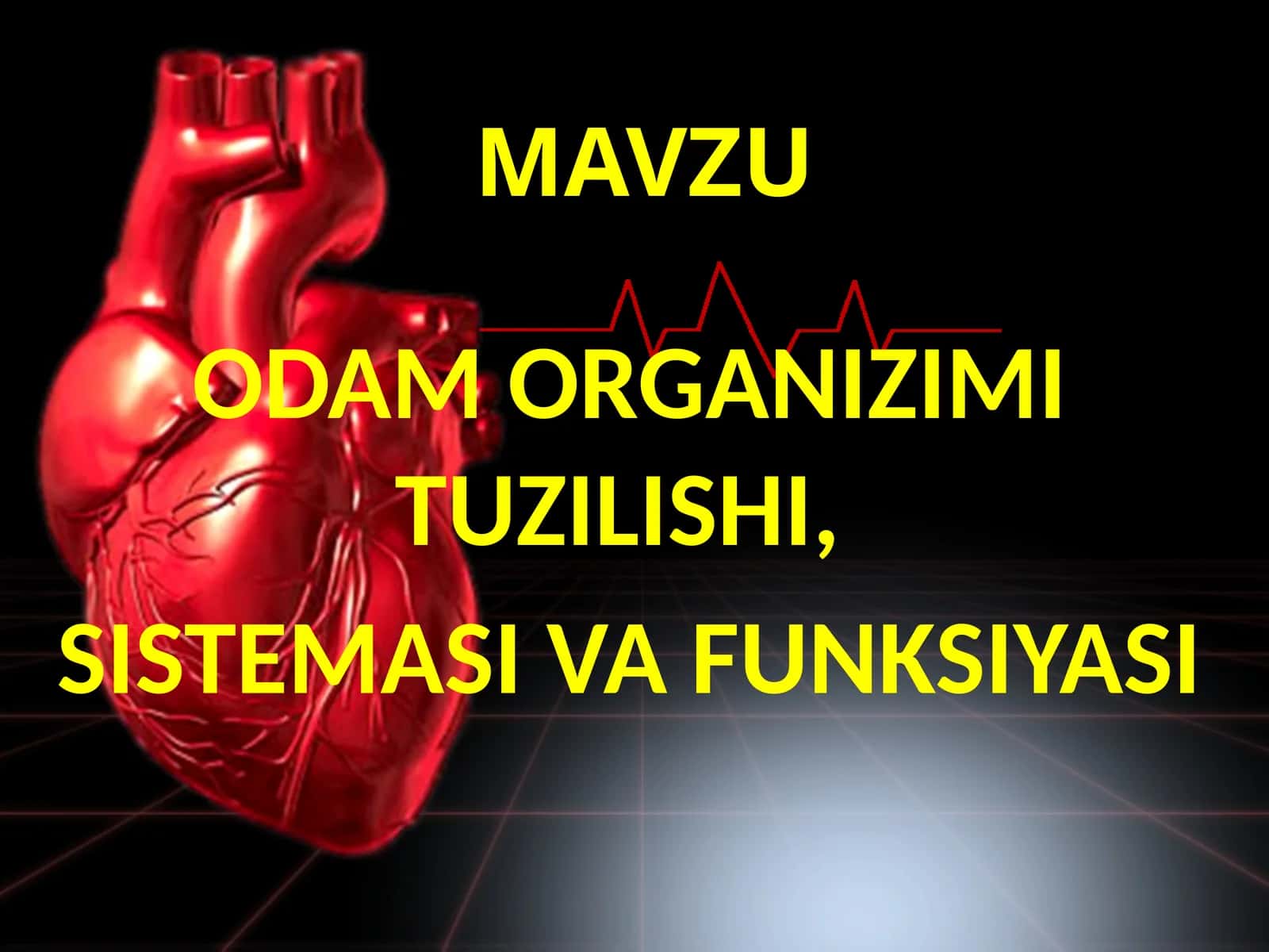 ODAM ORGANIZIMI TUZILISHI, SISTEMASI VA FUNKSIYASI