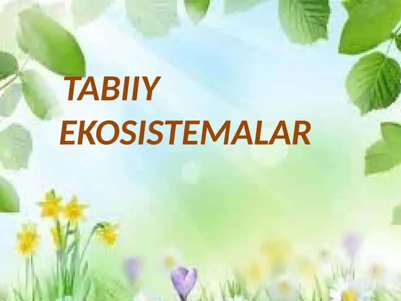 Tabiiy Ekosistemalar O`tilgan Mavzuni Takrorlash