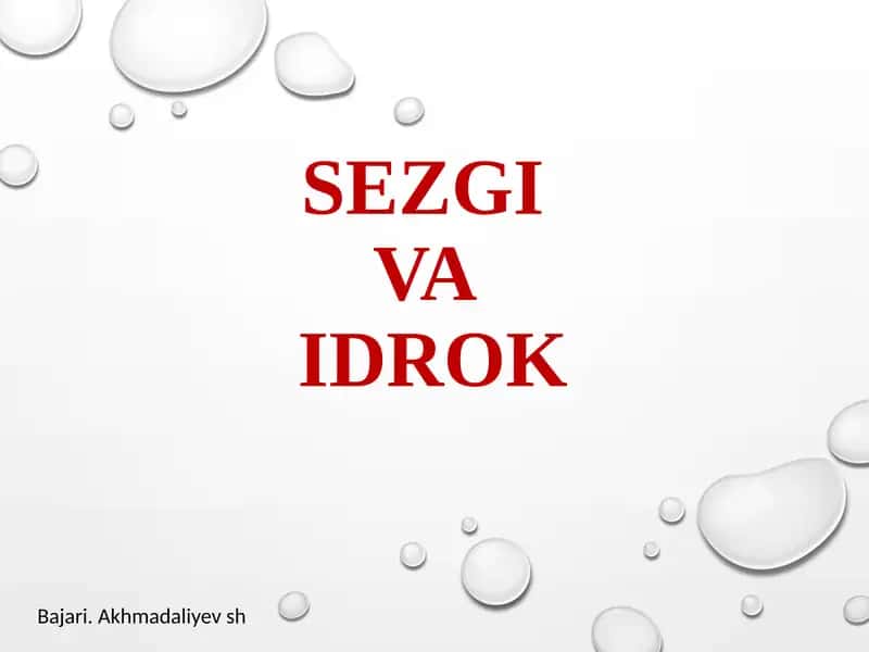 Sezgi
