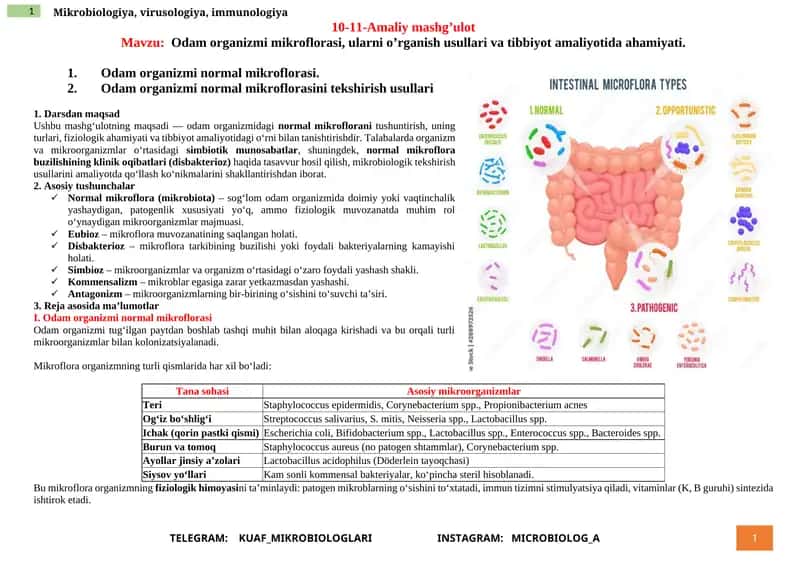Mikrobiologiya, virusologiya, immunologiya