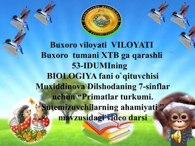Primatlar turkumi. Sutemizuvchilarning ahamiyati