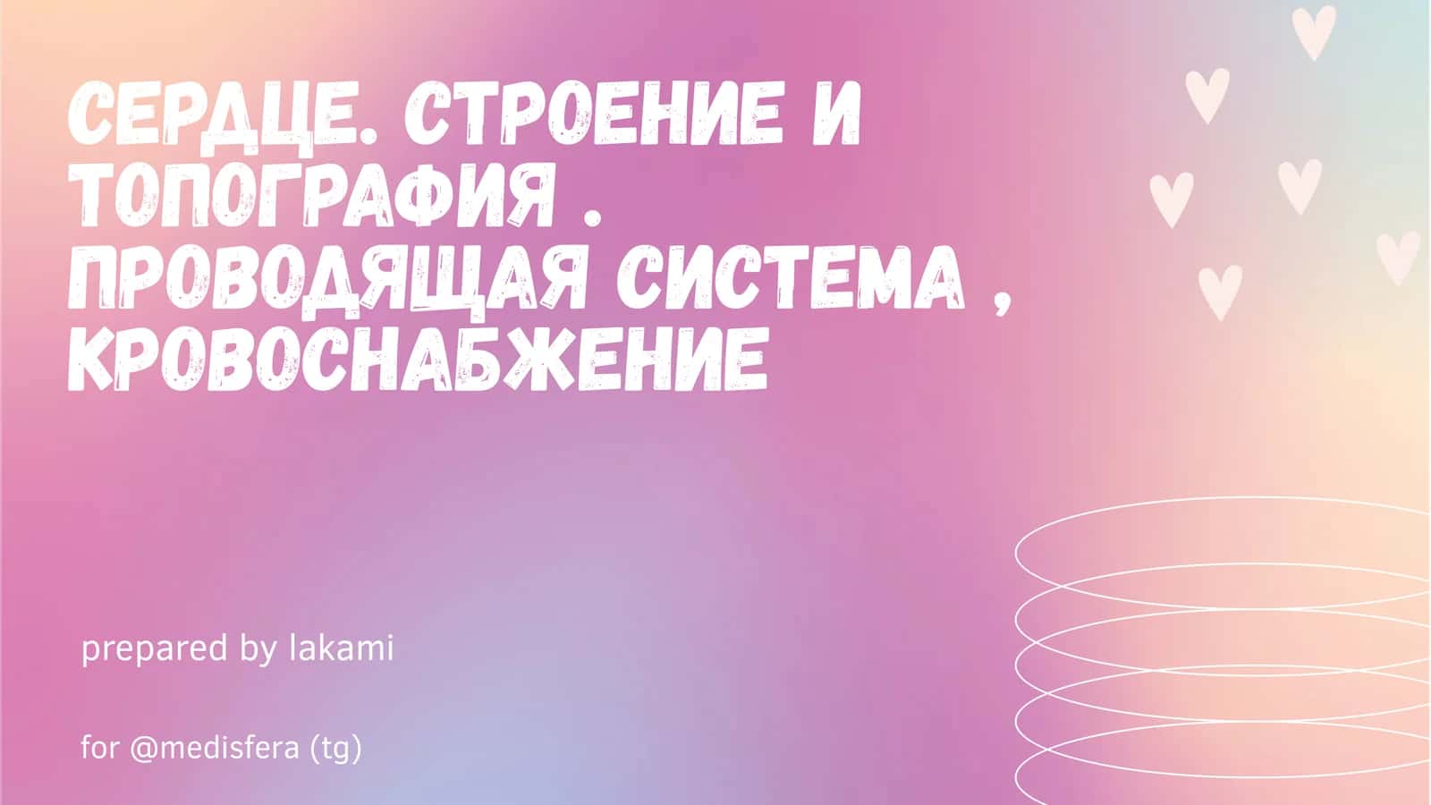 Сердце. строение и топография