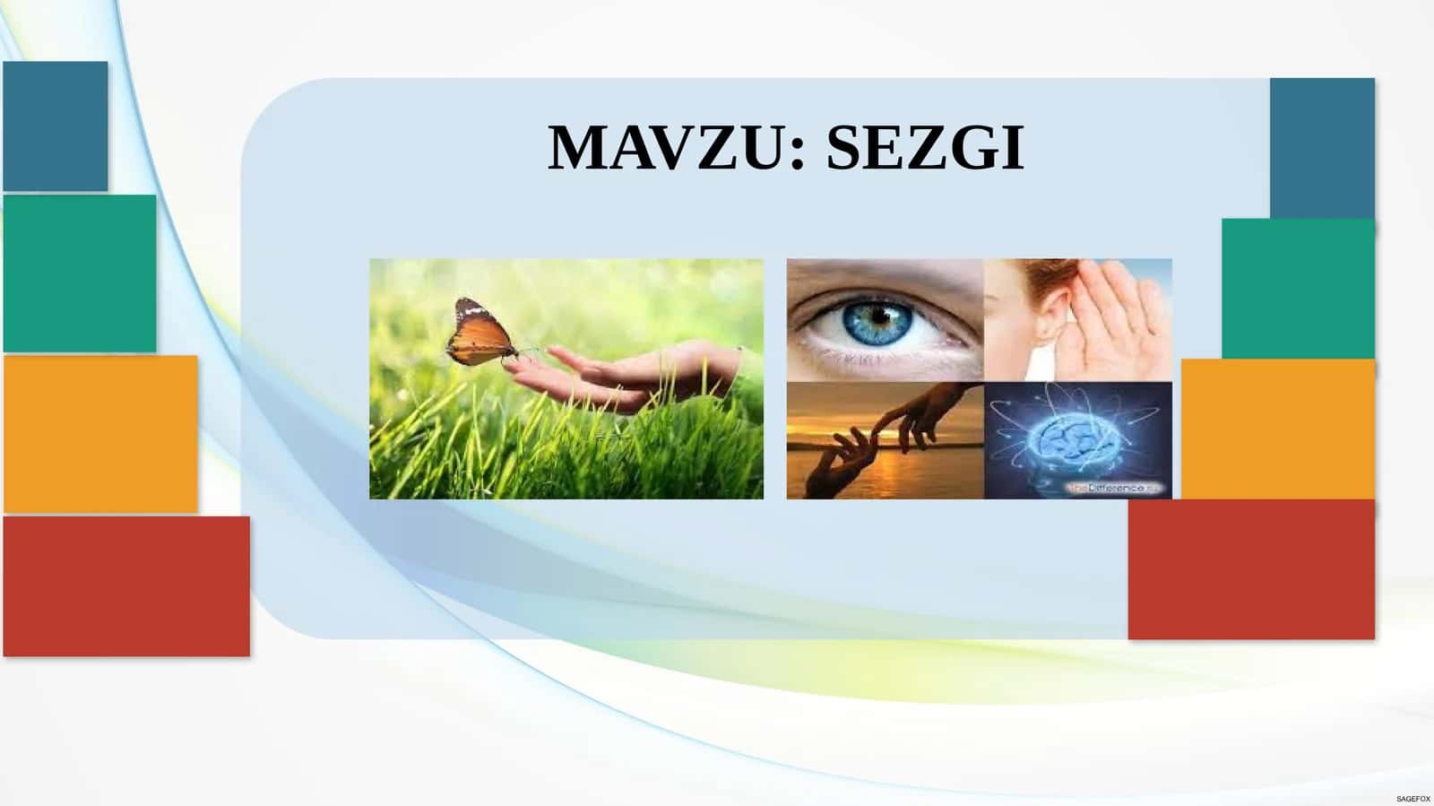 SEZGI