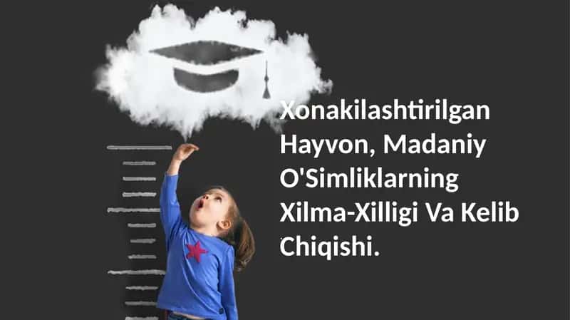 Xonakilashtirilgan Hayvon, Madaniy O'Simliklarning Xilma-Xilligi Va Kelib Chiqishi