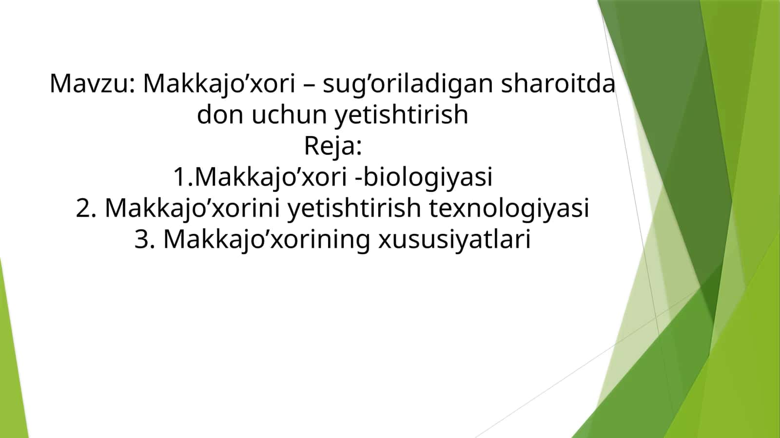 Makkajo’xori–sug’oriladigansharoitdadonuchunyetishtirish