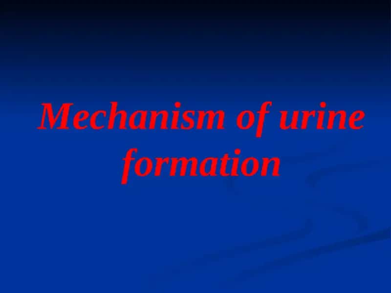 Mechanism of urine formation