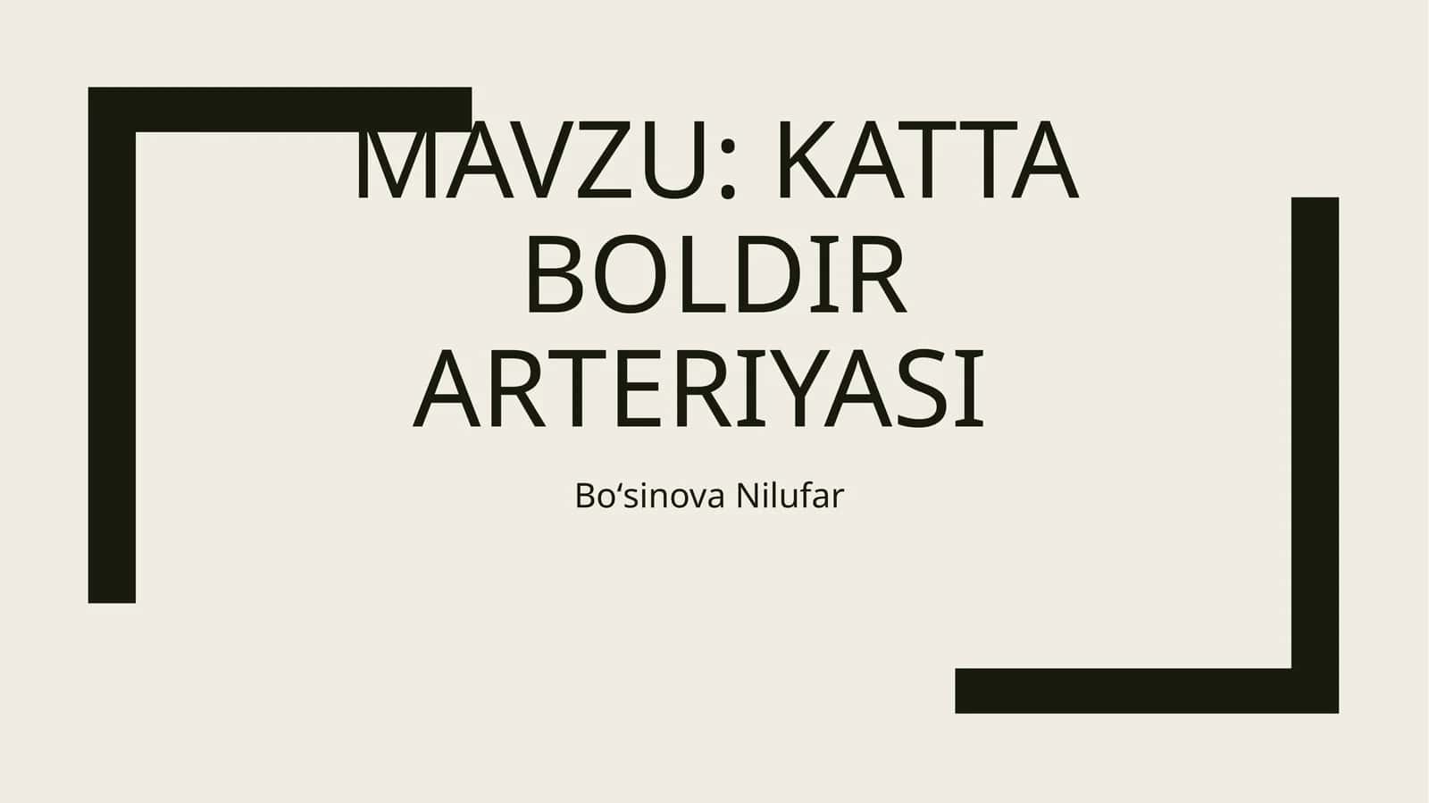 Katta boldir arteriyasi