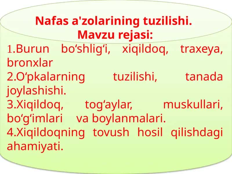 Nafas a'zolarining tuzilishi