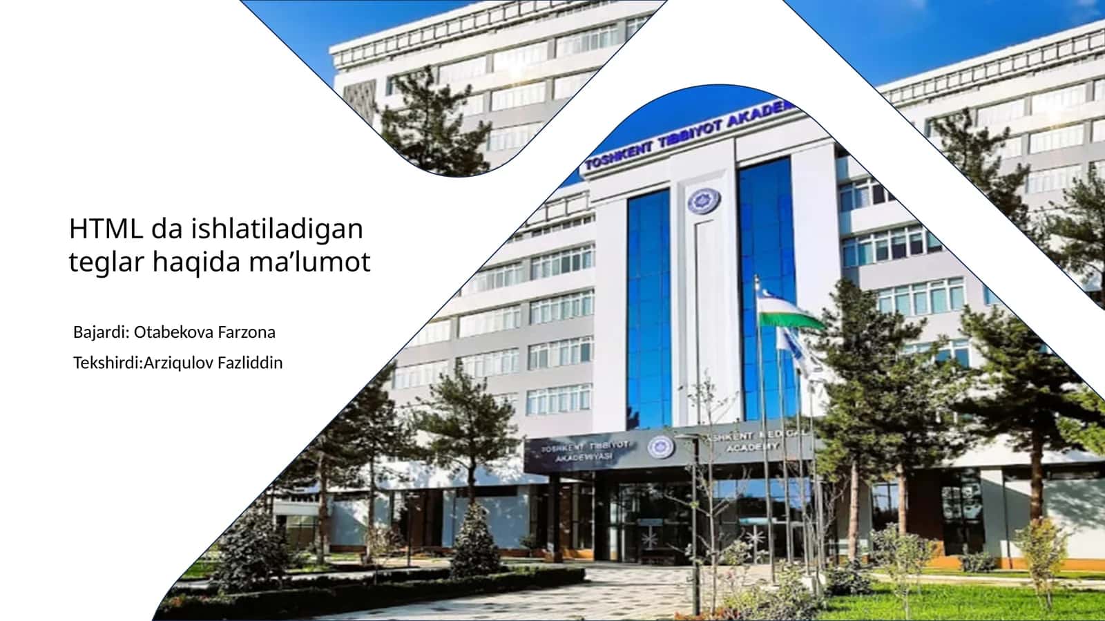 HTML da ishlatiladigan teglar haqida ma’lumot