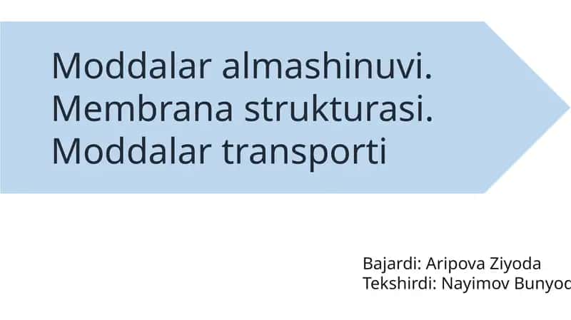 Moddalaralmashinuvi