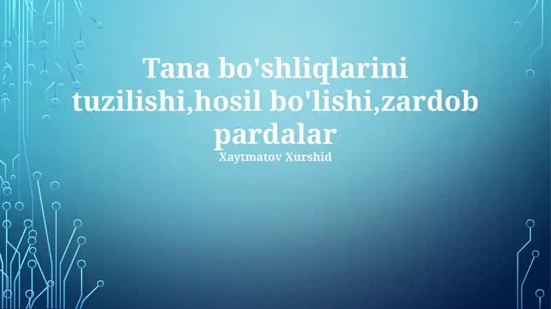 Tana bo'shliqlarini tuzilishi