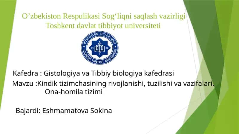 kindik tizimchasi