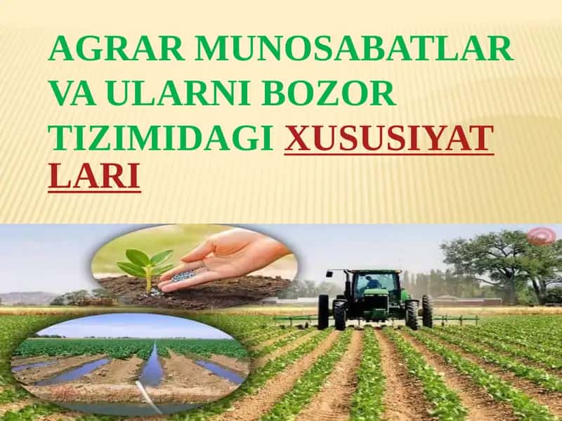 AGRAR MUNOSABATLAR VA ULARNI BOZOR TIZIMIDAGIXUSUSIYATLARI