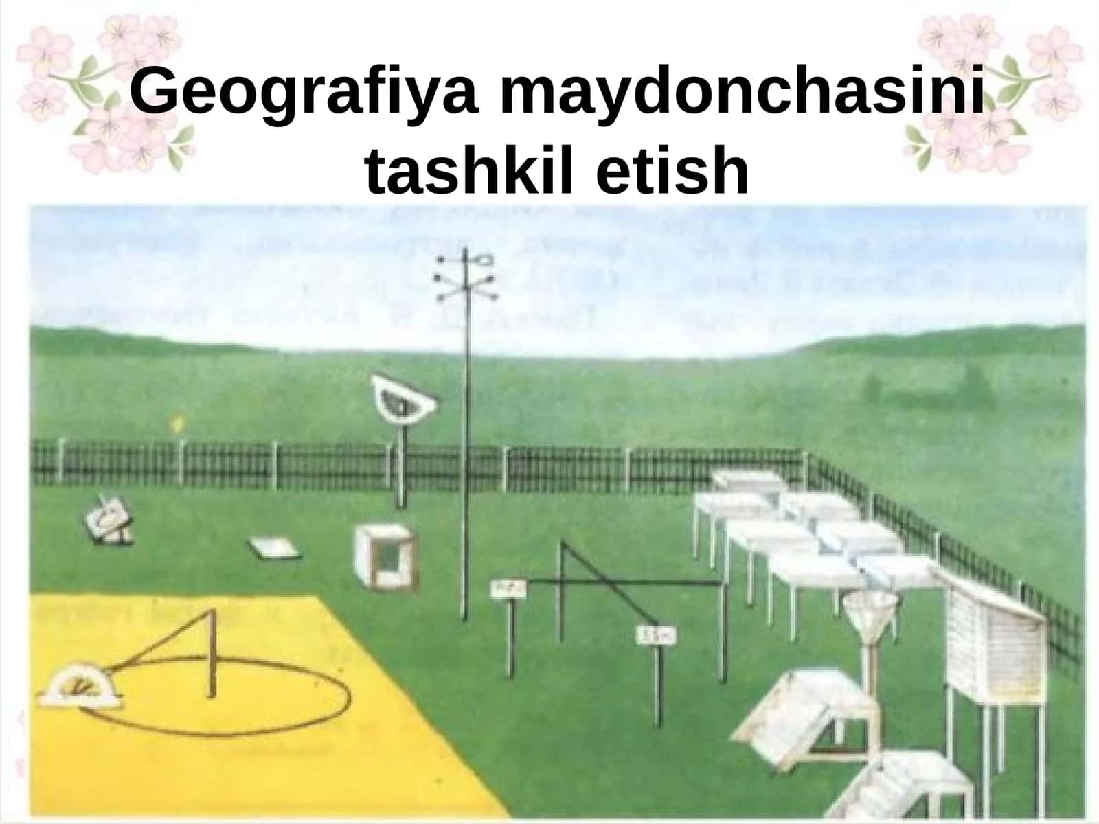 Geografiya maydonchasini tashkil etish