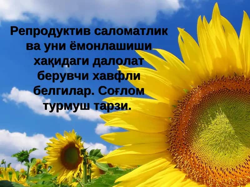 Reproduktiv salomatlik va uni yamonlashishi xaqidagi dalolat beruvchi xavfli belgilar. Sog'lom turmush tarzi.