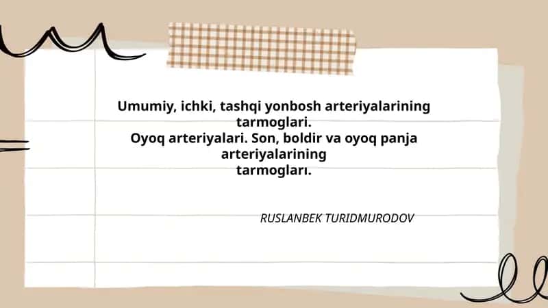 Umumiy, ichki, tashqi yonbosh arteriyalarining tarmoglari